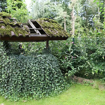 Beautiful Holiday In Haaren With Sauna Holiday home
